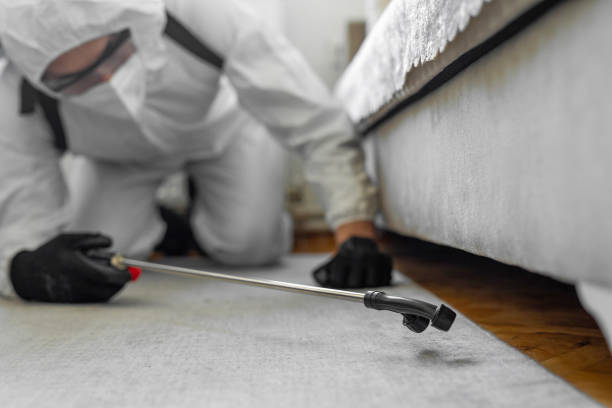 Professional Bed Bug Control technician working in Saginaw County County, MI
